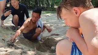 Turtle Island Borneo (Selingaan Island Park) full tour plus baby Turtles and a couple of surprises