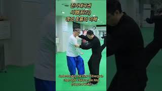 진가태극권 사행(斜行) 경의 흐름의 이해 : Understanding the Flow of Energy in Chen Style Taijiquan Xie Xing