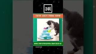 고양이 장난감 추천 인기순위 TOP3