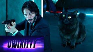 When your cat is a trained assassin (John Wick)