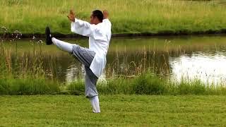 Tai Chi Chuan by a Shaolin Monk in Nature