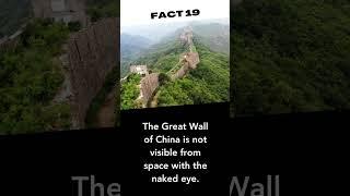 Chewing Gum and Great Wall: Two Amazing Facts You Didn't Know