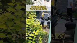 洗面奶有点贵点 #外卖小哥 #vlog日常 #路人视角 #社会百态