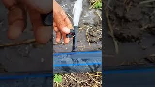 Quick & Easy Trick to Seal PE Irrigation Pipes! No More Leaks! #shorts #irrigation #garden #farm