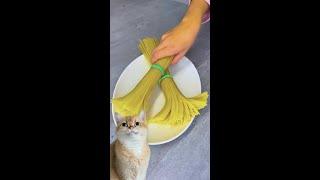 Food Meets Art: Colorful Pasta Painting Fun!  #reaction #cat #foodart #pasta #fun