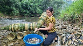 How to trap fish with bamboo baskets, How to dry fish in the kitchen for preservation