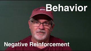 Negative Reinforcement