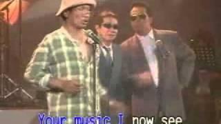 American Junk by APO Hiking Society