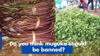 Do you think muguka should be banned?