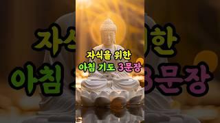 자식을 위한 아침 기도 3문장 | 아이 걱정 멈추는 법 | 불교 지혜ㅣ마음수행 #명언 #자기수행 #인생조언