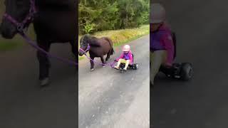 Ella and Black having fun as always  #shorts #pony #horse