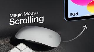 How to Scroll With a Magic Mouse on iPad