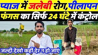 Control of Jalebi disease, yellowing and fungus in onion in just 24 hours. Jalebi disease in onion | onion farming