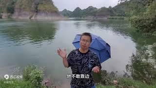 钓黄尾如何选择钓位？有哪些窍门？