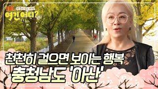 천천히 걸으면 보이는 행복, 충남 아산 [여긴 어디?] | KBS 20241124 방송