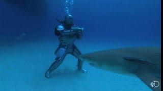 Sir Lance-Shark-Lot | MythBusters