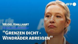 "Grenzen dicht": AfD mit Weidel auf Knallhart-Kurs | AFP