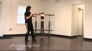 Siu Lim Tao Instructional Video Kick
