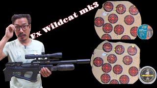 FX WILDCAT MK3//FX WILDCAT MARK3//FX WILDCAT ACCURACY TEST AT 30MTRS WITH PELLET AND SLUG