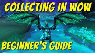 How to start collecting achievements and farming mounts & pets in WoW!