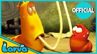 LARVA Funny Animation | LARVA AND THE SPAGHETTI | Cartoons | Comics | LARVA Official