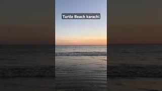 Serene Turtle Beach Sunset Waves  | Relaxing Vibes #iamrjanees #sunset #beach