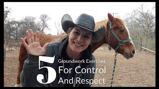 5 basic Groundwork Exercises for Respect and Control of the entire horse