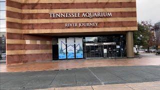 Tennessee Aquarium | River and Ocean Journey | Chattanooga TN