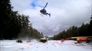 Helicoptor Cutting Tree Tops for Pine Cones