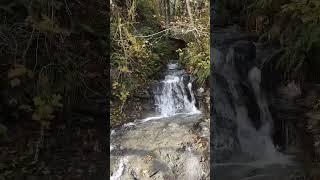 Beautiful River Waterfall #FTWQ #Fishthatwontquit #waterfall #natureasmr #outdoors