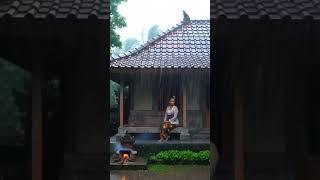 Rain Sounds for Sleeping Heavy Rain and Thunderstorm Sounds for Sleeping
