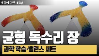 알리익스프레스 균형 독수리 장난감 추천 과학 학습과 재미를 모두 담은 아이템