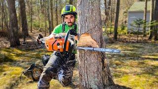 HOW TO AIM A TREE | Tree Felling Tutorial