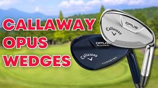 Callaway Opus Platinum Wedges: Are They Worth It?