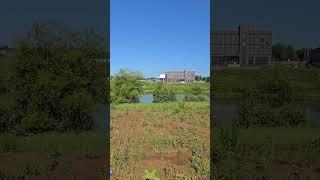погода в Москве июнь 16. 06. 25 красная Пахра