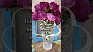  Никто не сушит пионы, а зря — смотрите, что получилось
