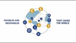 Payables and Receivables by TransferMate