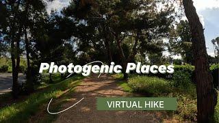 4k Virtual Hike (with nature sounds) Relaxation