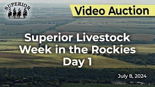 Superior Livestock Auction - Week in the Rockies Day 1