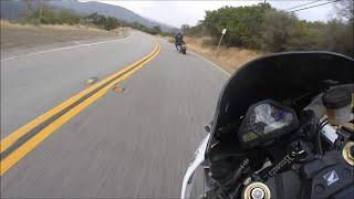 Harley Canyon Shredding || ViralHog