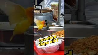 Burung Lovebird siapa nih? #lovebird #burungunik