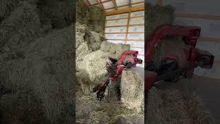 My Hay Stack Fell Down…AGAIN