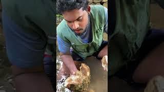 BIGGEST Gold particles Ever Found #gold  #goldbusiness #satisfying