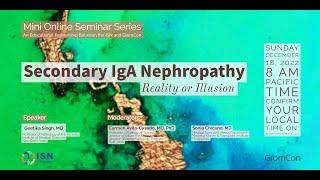 Secondary IgA Nephropathy - Reality or Illusion