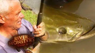 Catching A Prehistoric Predator | ARAPAIMA | River Monsters