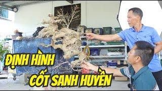 Chỉnh sửa cốt sanh dáng huyền rất già | NamLe Bonsai