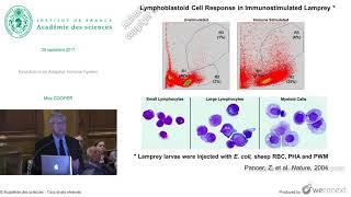 [Conférence] M. COOPER - Evolution of an Adaptive Immune System