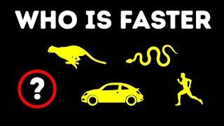 Who Is the Fastest Living Being in the World?