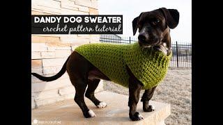 Dandy Dog Sweater Companion Video: Free Crochet Pattern