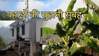 पहाड़ो की सुहानी सुबह ll #uttarakhand #village #nigrali #viral #morningroutine #vlogs #family